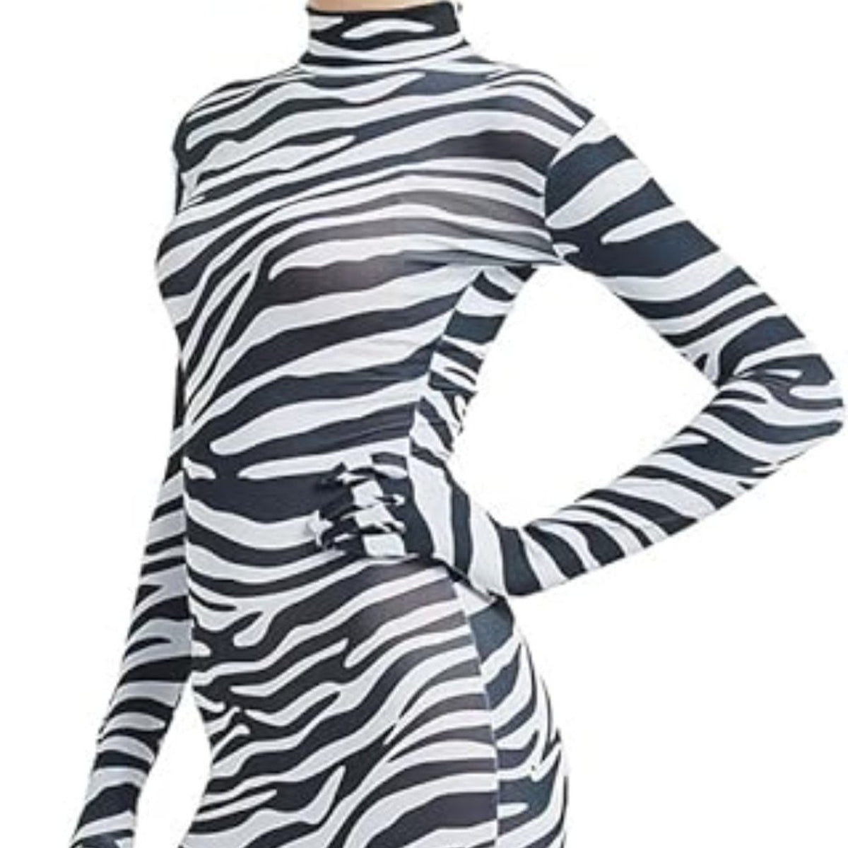 Cat Suite Animal Print Design